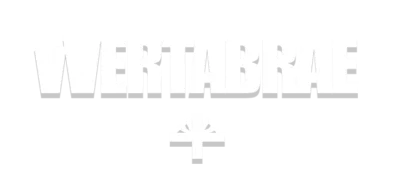 v3logo 400x184.png.bv